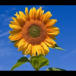 Meet your Posher, Jaimee